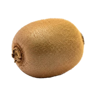 Imagen PNG para descargar